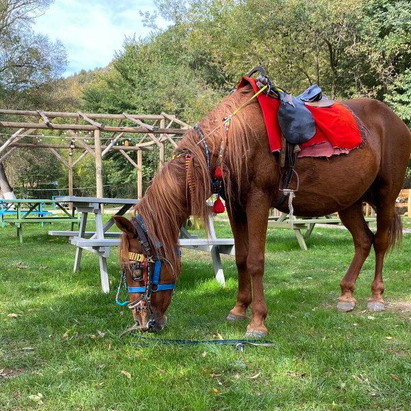 Loresima Garden'da Doğayla Baş Başa Enfes Serpme Kahvaltı Keyfi